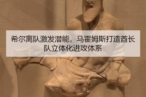xi-er-li-dui-ji-fa-qian-neng-ma-huo-mu-si-da-zao-qiu-zhang-dui-li-ti-hua-jin-gong-ti-xi-2-533.jpg